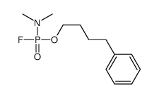 N-[fluoro(4-phenylbutoxy)phosphoryl]-N-methylmethanamine结构式