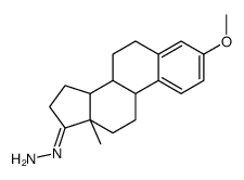 3-O-Methyl Estrone Hydrazone picture