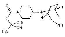 4-(3,8-二氮杂双环[3.2.1]-8-辛基)-1-哌啶羧酸1,1-二甲基乙基酯结构式