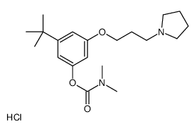 [3-tert-butyl-5-(3-pyrrolidin-1-ylpropoxy)phenyl] N,N-dimethylcarbamate,hydrochloride Structure