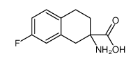 2-amino-7-fluoro-3,4-dihydro-1H-naphthalene-2-carboxylic acid Structure