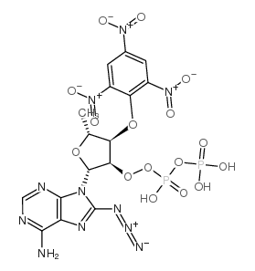 2',3'-O (2,4,6-trinitrophenyl)-8-azidoadenosine diphosphate structure