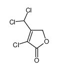 3-CHLORO-4-(DICHLOROMETHYL)-2(5H)-FURANONE picture