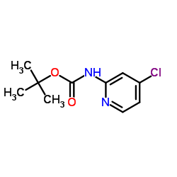 tert-butyl4-chloropyridin-2-ylcarbamate picture