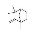 1,3,3-Trimethyl-2-methylidenebicyclo<2.2.1>heptane Structure