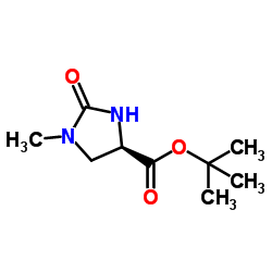 2-Methyl-2-propanyl (4R)-1-methyl-2-oxo-4-imidazolidinecarboxylate Structure