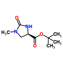 2-Methyl-2-propanyl (4R)-1-methyl-2-oxo-4-imidazolidinecarboxylate结构式