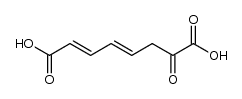 7-oxo-octa-2,4-dienedioic acid Structure