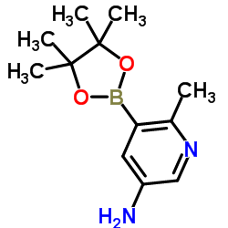 6-Methyl-5-(4,4,5,5-Tetramethyl-1,3,2-Dioxaborolan-2-Yl)Pyridin-3-Amine Structure