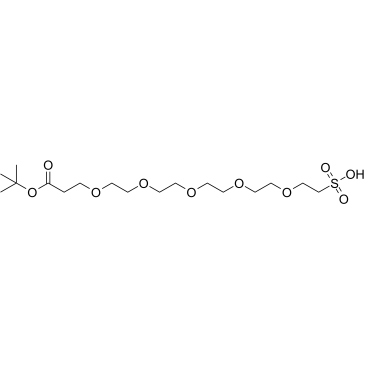 t-Butoxycarbonyl-PEG5-sulfonic acid Structure