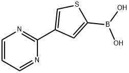 4-(Pyrimidin-2-yl)thiophene-2-boronic acid结构式