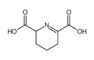 2,3,4,5-四氢吡啶-2,6-二甲酸结构式