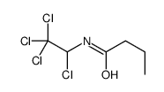 N-(1,2,2,2-tetrachloroethyl)butanamide Structure