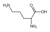 D-ornithine structure