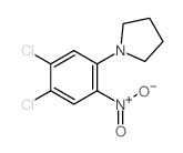 Pyrrolidine, 1-(4,5-dichloro-2-nitrophenyl)-结构式