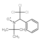 Nitroxide, 1,1-dimethylethyl 2,2,2-trichloro-1-phenylethyl结构式