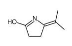 2-Pyrrolidinone,5-(1-methylethylidene)-(9CI) picture