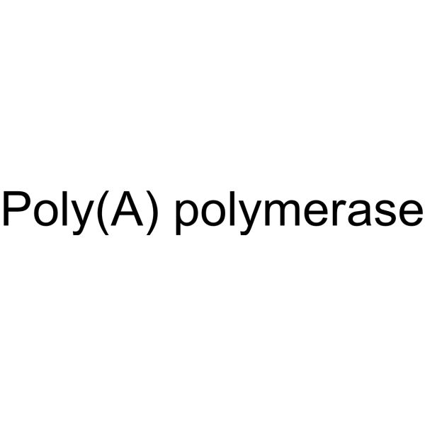 poly(a) polymerase picture
