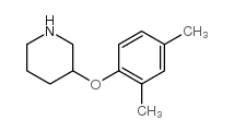 3-(2,4-dimethylphenoxy)piperidine Structure
