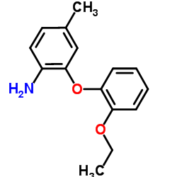 2-(2-Ethoxyphenoxy)-4-methylaniline结构式