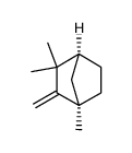(-)-methylenefenchone Structure