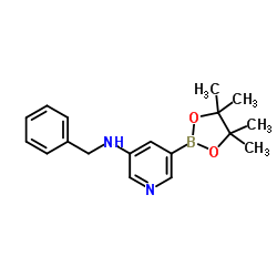 5-N-BENZYL-AMINO-PYRIDIN-3-YLBORONIC ACID PINACOL ESTER picture