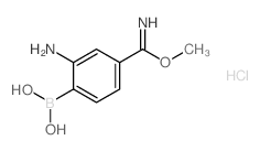 (2-Amino-4-(imino(methoxy)methyl)phenyl)boronic acid hydrochloride picture