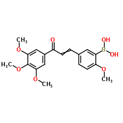 {2-Methoxy-5-[3-oxo-3-(3,4,5-trimethoxyphenyl)-1-propen-1-yl]phenyl}boronic acid结构式