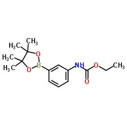 乙基(3-(4,4,5,5-tetramethyl-1,3,2-dioxaborolan-2-yl)phenyl)氨基甲酸酯结构式