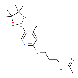 N-(3-(4-Methyl-5-(4,4,5,5-tetramethyl-1,3,2-dioxaborolan-2-yl)pyridin-2-ylamino)propyl)acetamide Structure
