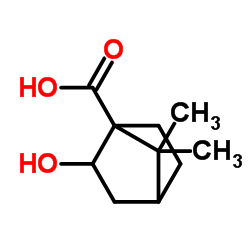 2-Hydroxy-7,7-dimethylbicyclo[2.2.1]heptane-1-carboxylic acid Structure