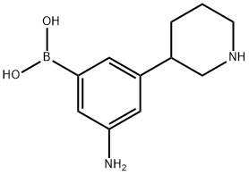 3-(Piperidin-3-yl)-5-aminophenylboronic acid picture