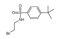 N1-(2-BROMOETHYL)-4-(TERT-BUTYL)BENZENE-1-SULFONAMIDE, TECH structure