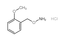 1-[(Aminooxy)methyl]-2-methoxybenzene hydrochloride structure