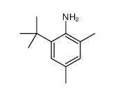 2-tert-butyl-4,6-dimethylaniline Structure