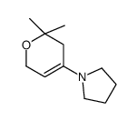 1-(6,6-dimethyl-2,5-dihydropyran-4-yl)pyrrolidine结构式
