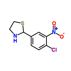 2-(4-Chloro-3-nitrophenyl)-1,3-thiazolidine结构式