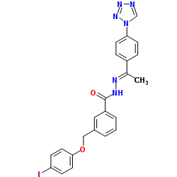 3-[(4-Iodophenoxy)methyl]-N'-{(1E)-1-[4-(1H-tetrazol-1-yl)phenyl]ethylidene}benzohydrazide结构式
