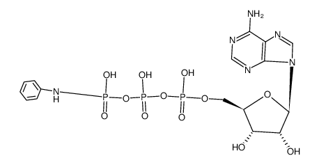 ATP gamma-anilide结构式