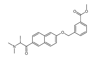 3-[6-(2-Dimethylamino-propionyl)-naphthalen-2-yloxymethyl]-benzoic acid methyl ester Structure