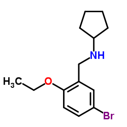 N-(5-Bromo-2-ethoxybenzyl)cyclopentanamine结构式