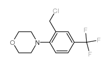 4-[2-(chloromethyl)-4-(trifluoromethyl)phenyl]morpholine picture