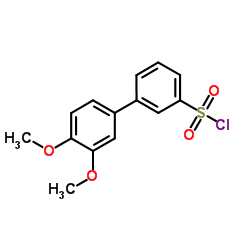 3',4'-Dimethoxy-3-biphenylsulfonyl chloride结构式