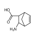 Bicyclo[2.2.1]hept-5-ene-2-carboxylic acid, 3-amino-, (1R,2R,3S,4S)- (9CI) Structure