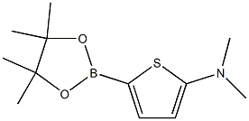 5-(Dimethylamino)thiophene-2-boronic acid pinacol ester结构式