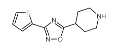 4-[3-(噻吩-2-基)-[1,2,4]-噁二唑-5-基]-哌啶结构式