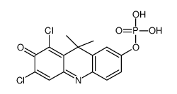 (6,8-dichloro-9,9-dimethyl-7-oxoacridin-2-yl) dihydrogen phosphate结构式