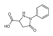 (+/-)-5-oxo-1-phenylpyrazolidine-3-carboxylic acid Structure