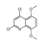 2,4-dichloro-5,8-dimethoxyquinoline Structure