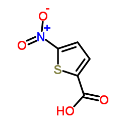 5-硝基噻吩-2-羧酸图片